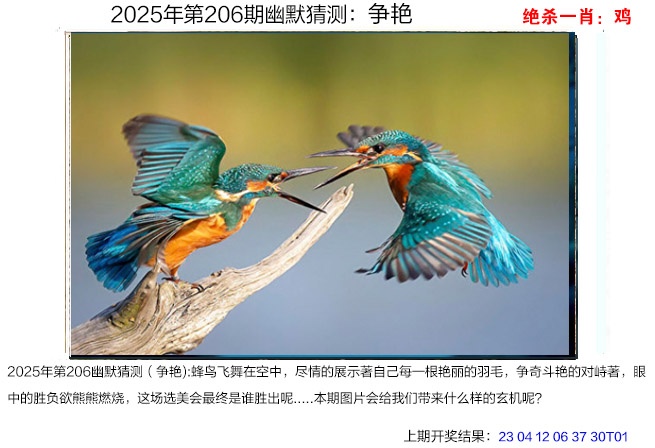 206期幽默猜测[图]