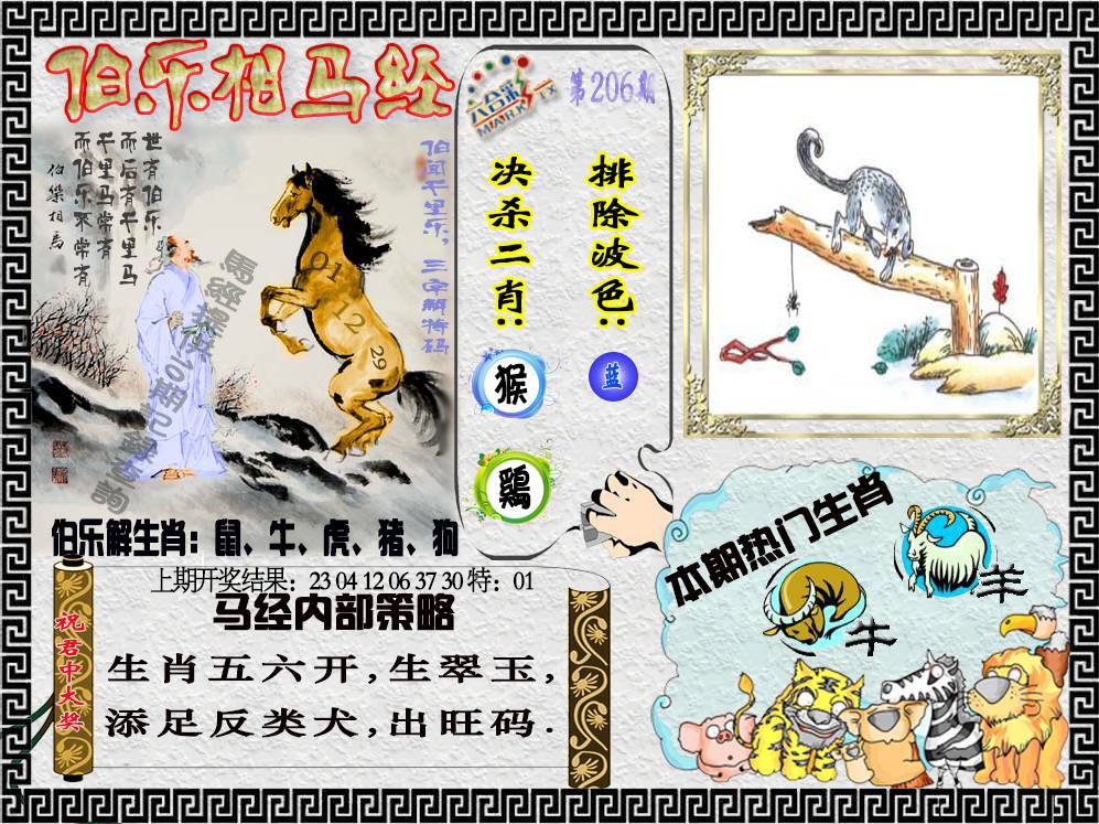 206期伯乐相马经[图]