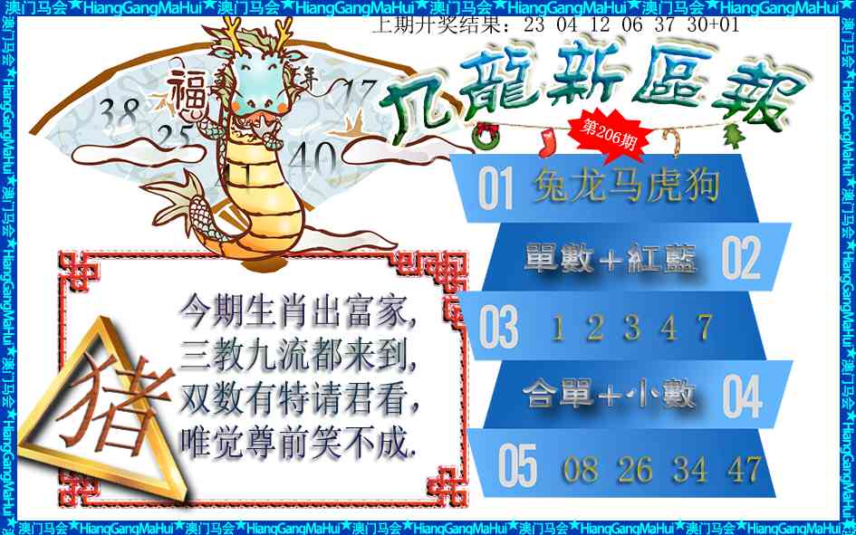 206期九龙新区报[图]