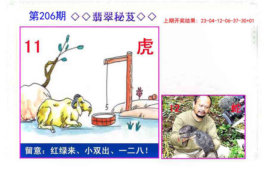 206期翡翠报[图]