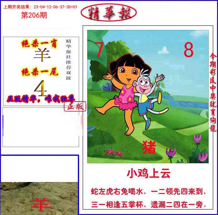206期新精华报报[图]