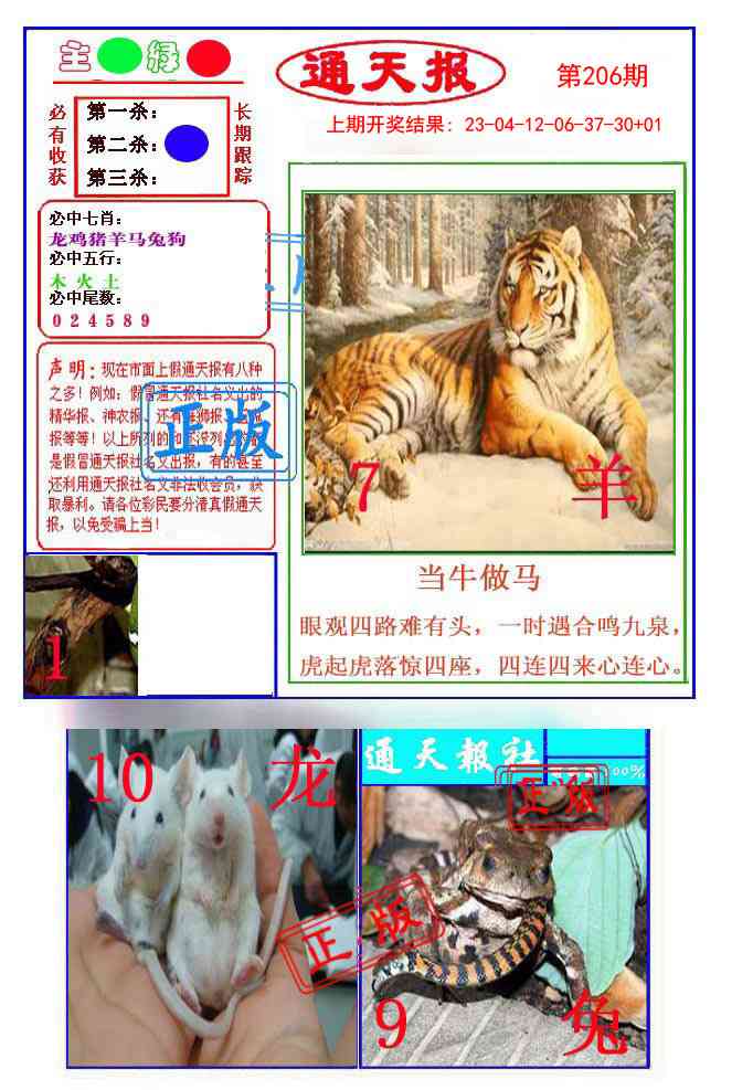 206期通天杀波图1[图]