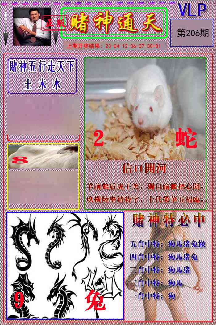 206期赌神通天报[图]