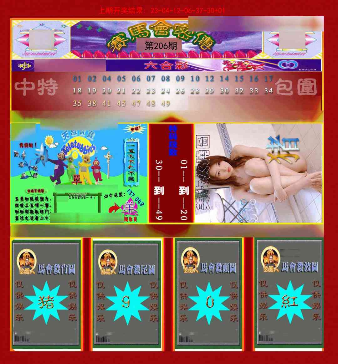 206期赛马会密传[图]
