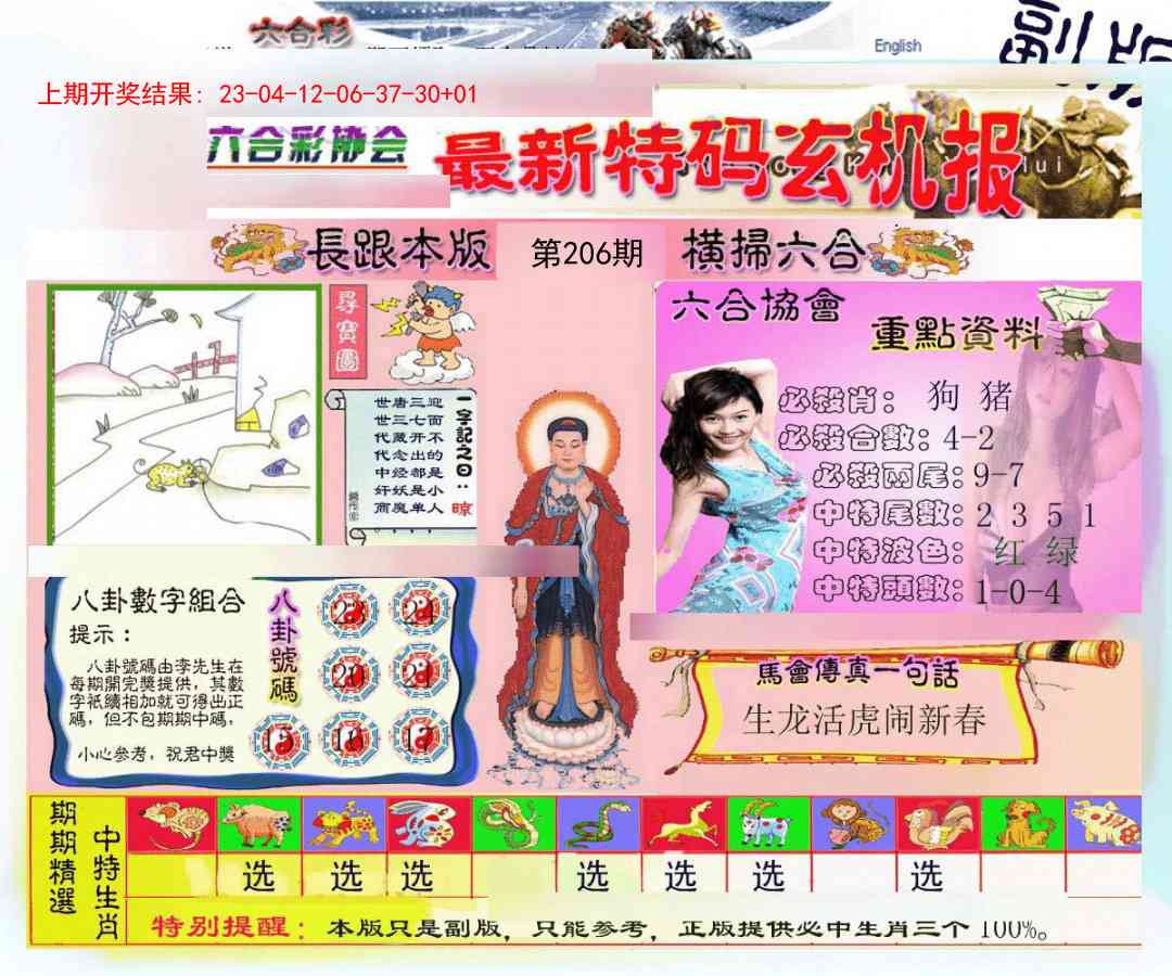 206期九龍内幕玄机报[图]