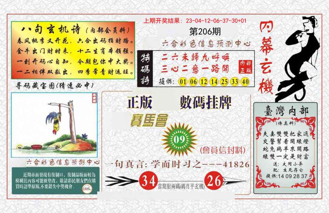 206期内幕玄机报[图]