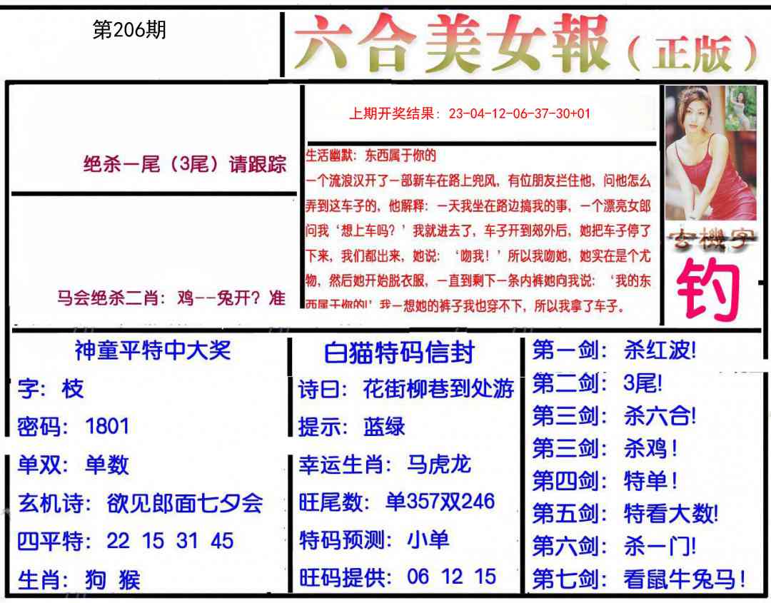 206期美女报[图]