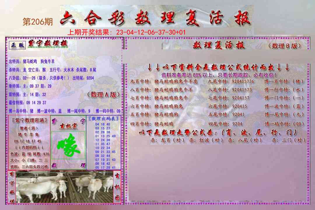 206期数理复活报[图]