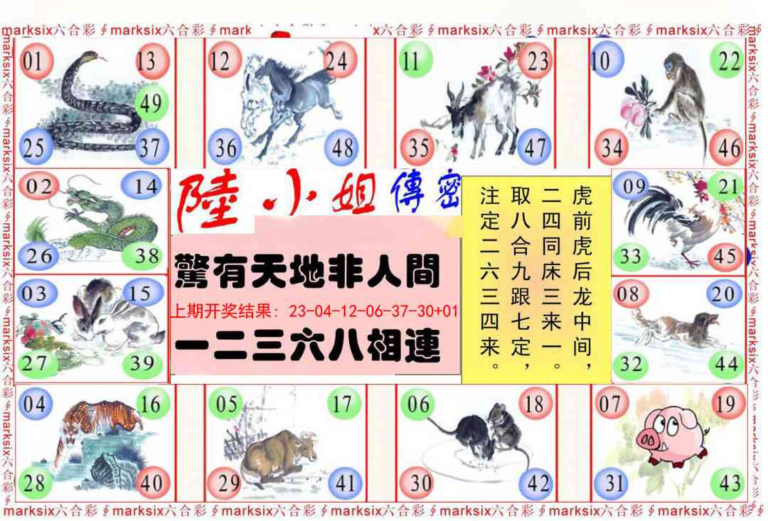 206期陆小姐传密B[图]