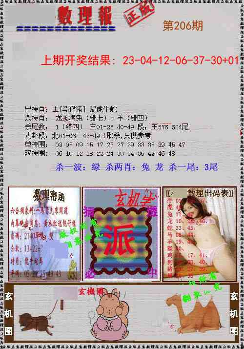 206期数理报[图]
