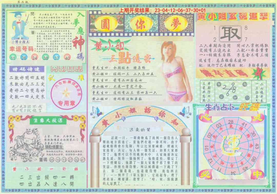 206期(新版)六合圆你梦B[图]