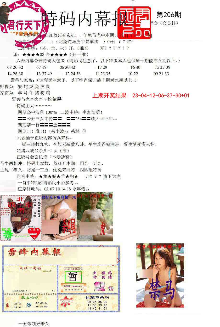 206期特码内幕报[图]