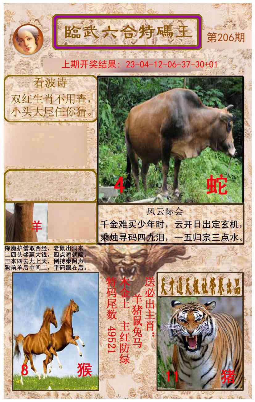 206期临武六合特码王[图]