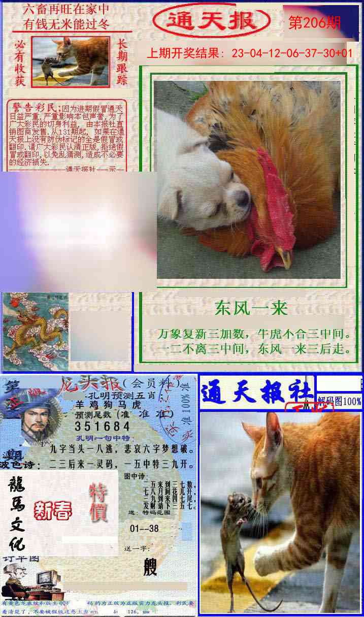 206期实力通天报[图]