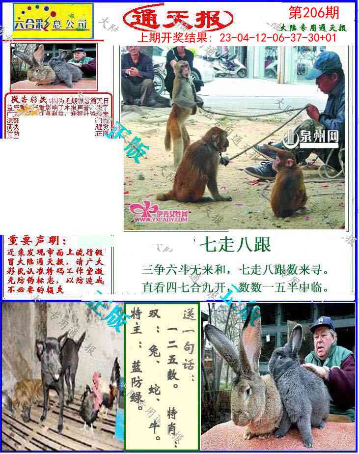 206期大陆通天报[图]