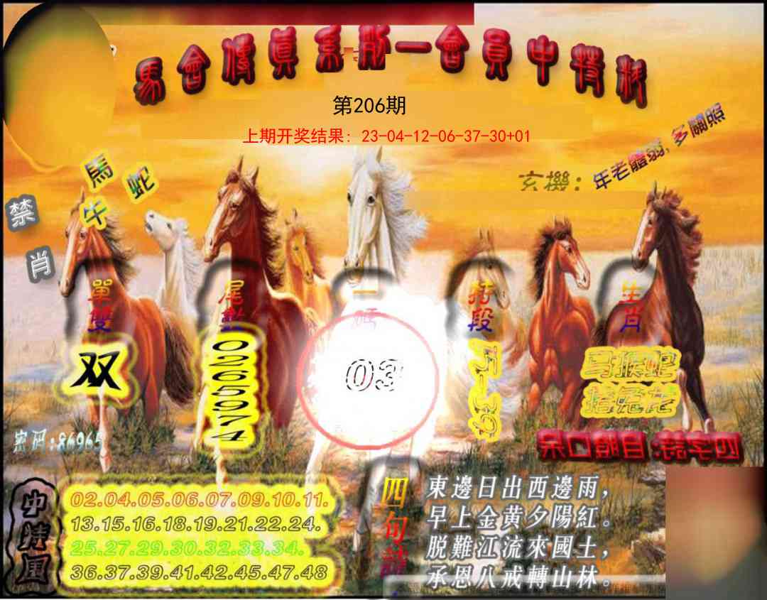206期马会传真-会员报[图]