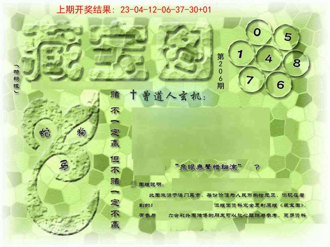 206期假新藏宝图[图]