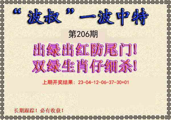 206期波叔一波中特[图]