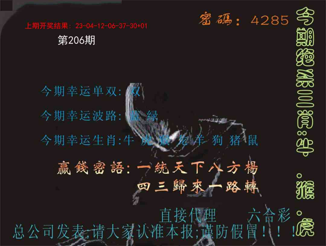 206期特码报[图]