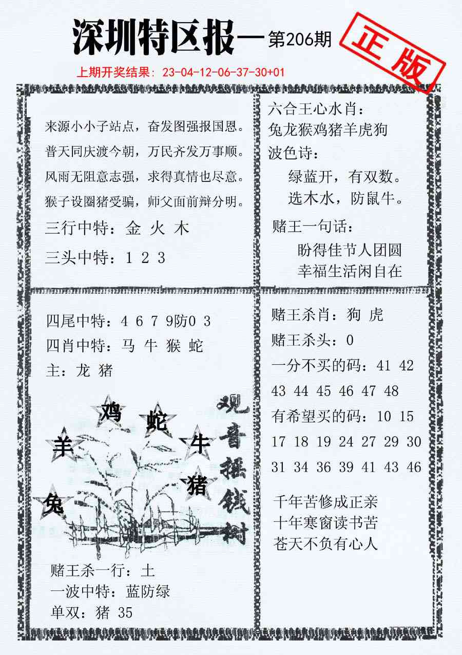 206期深圳特区报A[图]