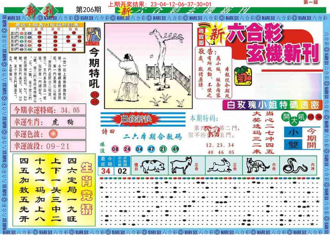206期新六合彩特码新刊A[图]