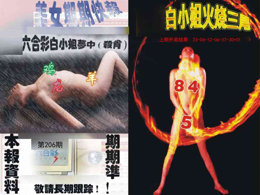 206期环球美女特码报[图]