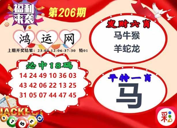206期鸿运网[图]