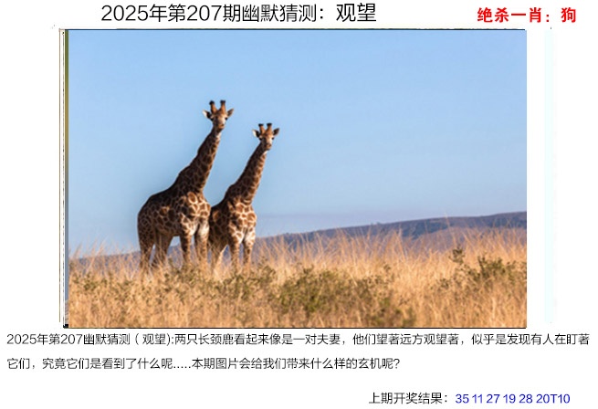 207期幽默猜测[图]