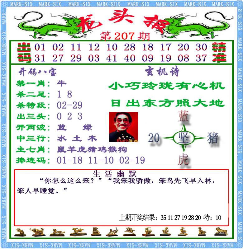 207期龙头报[图]