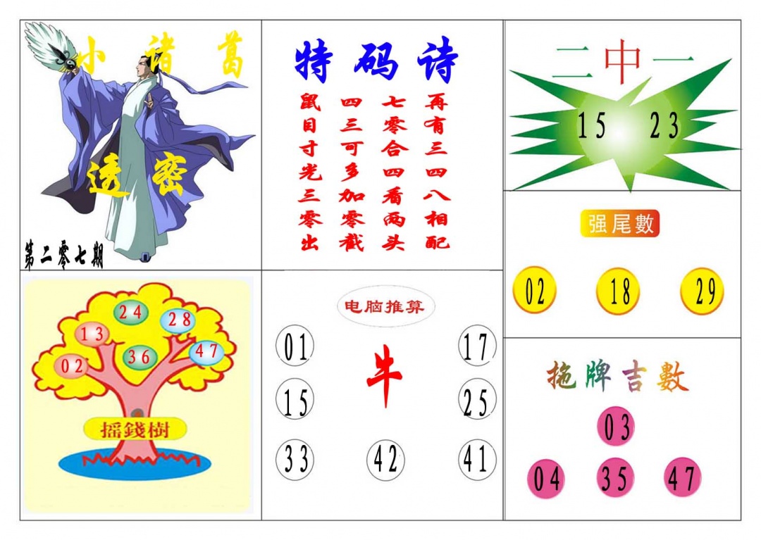 207期小诸葛[图]