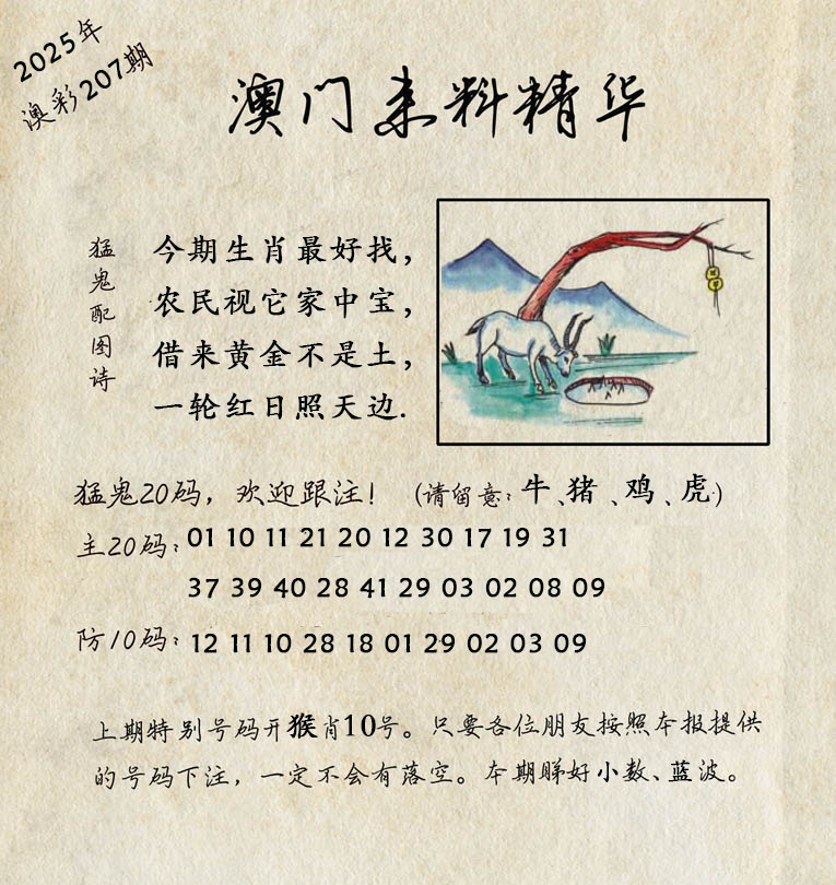 207期澳门来料精华[图]