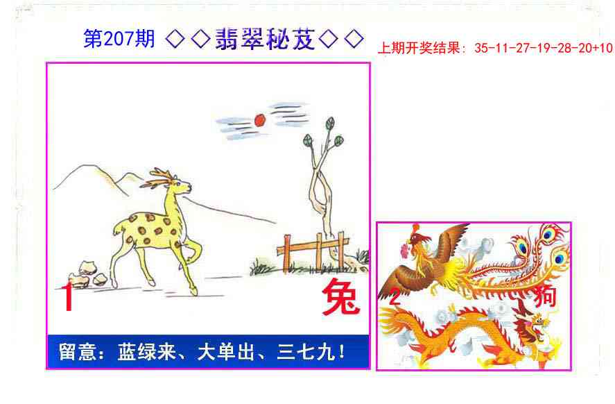 207期翡翠报[图]