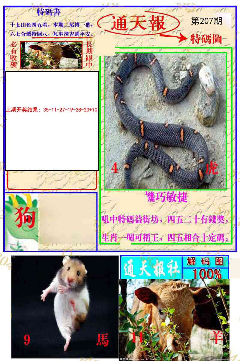 207期通天特解图[图]
