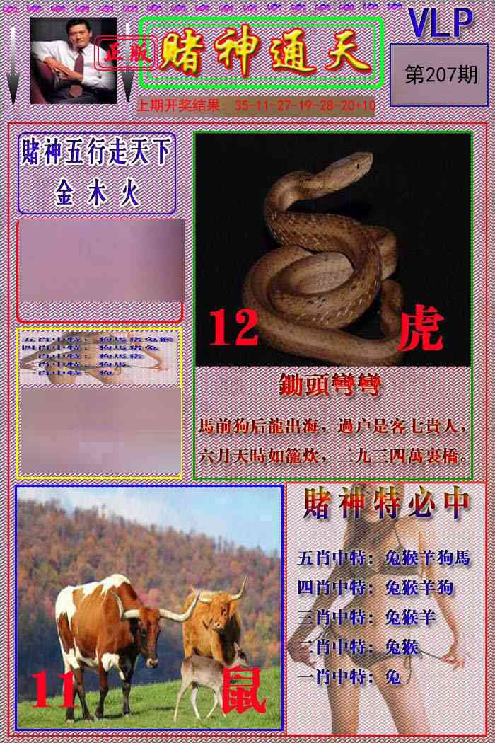 207期赌神通天报[图]