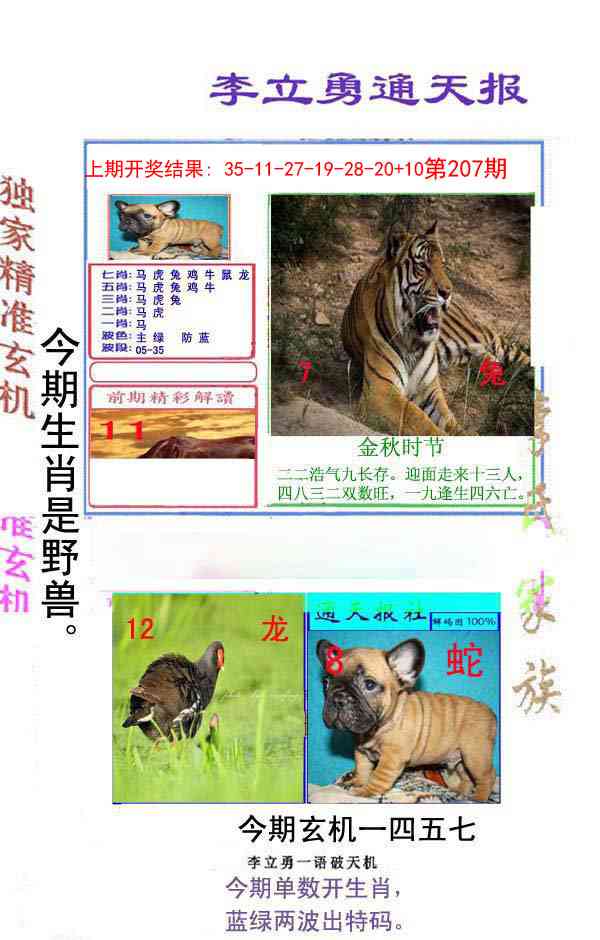 207期李立勇通天报[图]