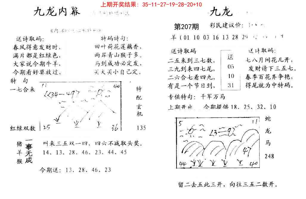 207期九龙内幕[图]