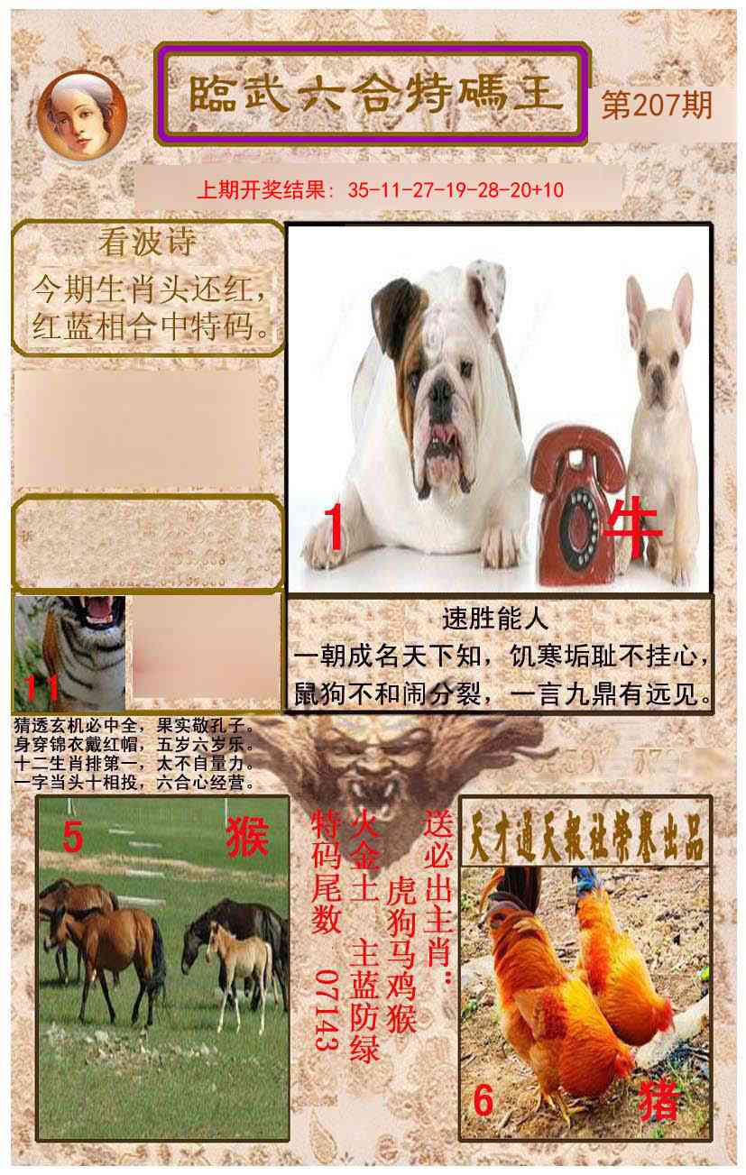 207期临武六合特码王[图]