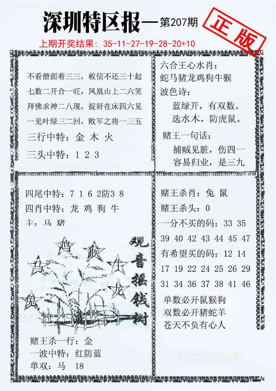 207期深圳特区报A[图]