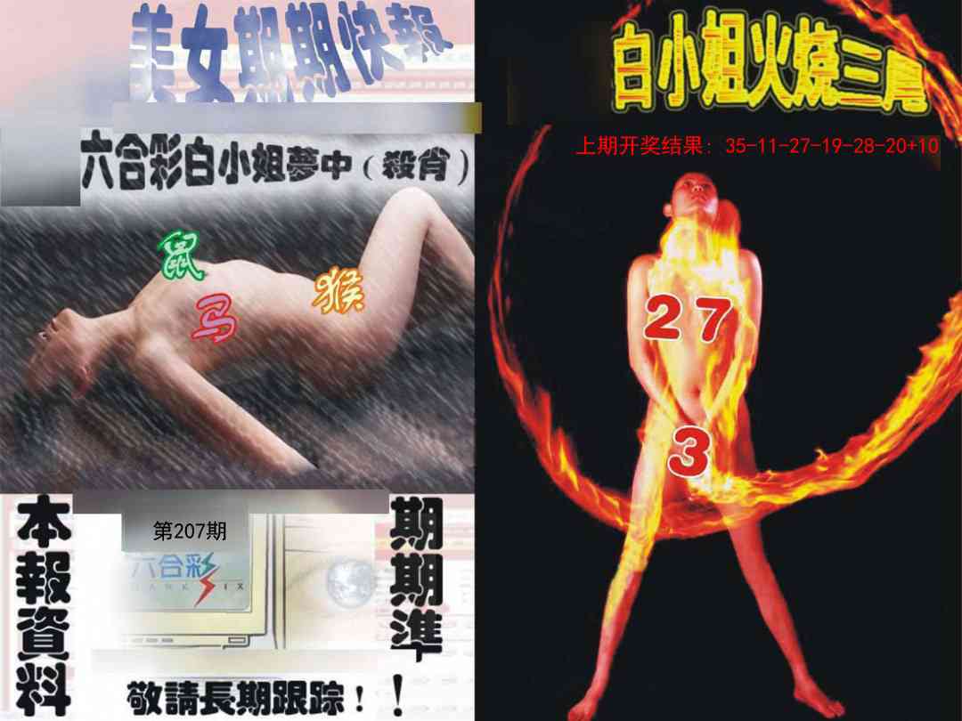 207期环球美女特码报[图]