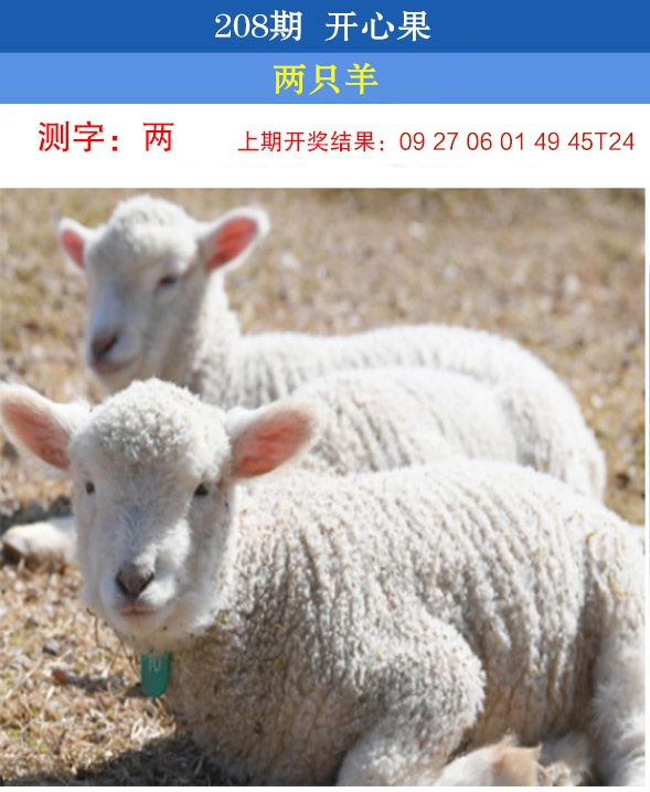 208期开心果[图]