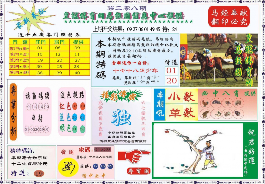 208期体育网马经图[图]