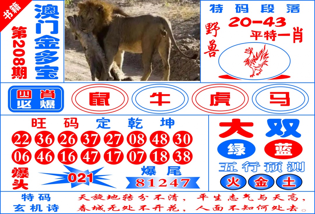 208期澳门金元宝[图]