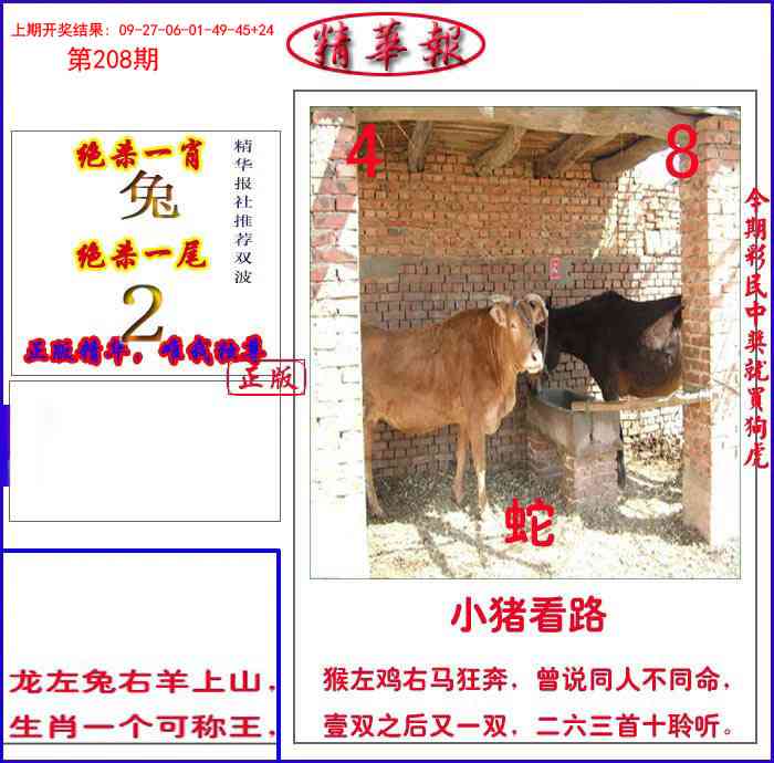 208期新精华报报[图]