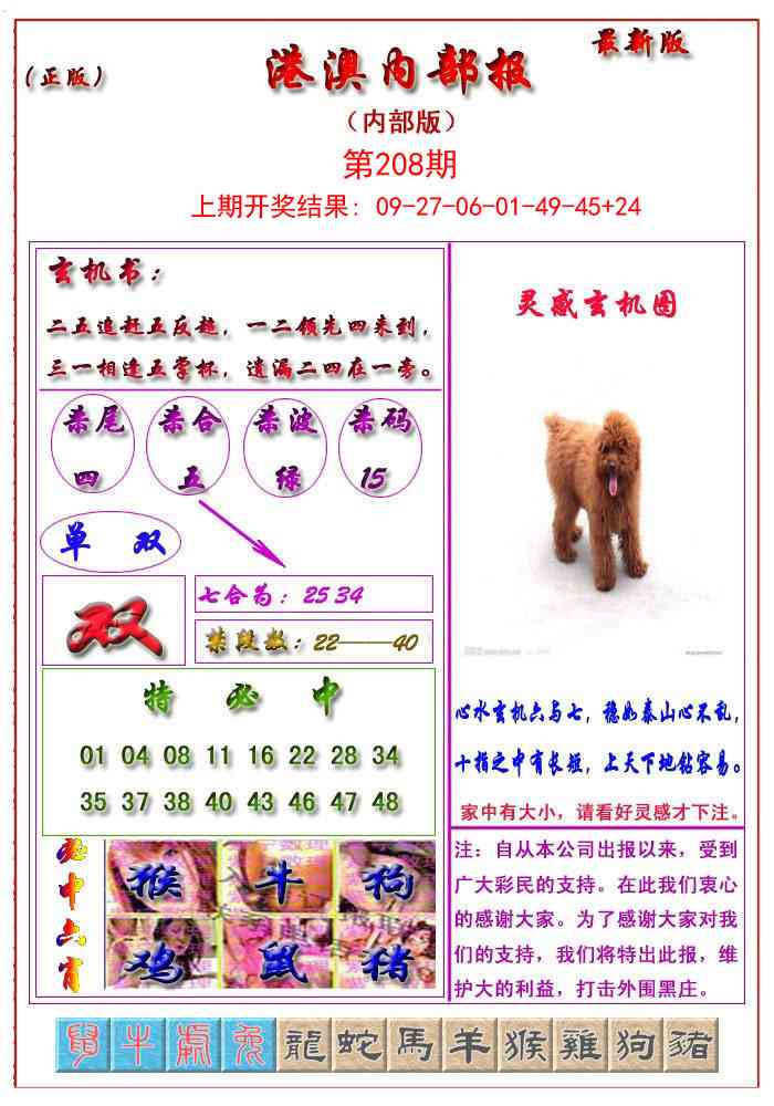 208期港澳报[图]