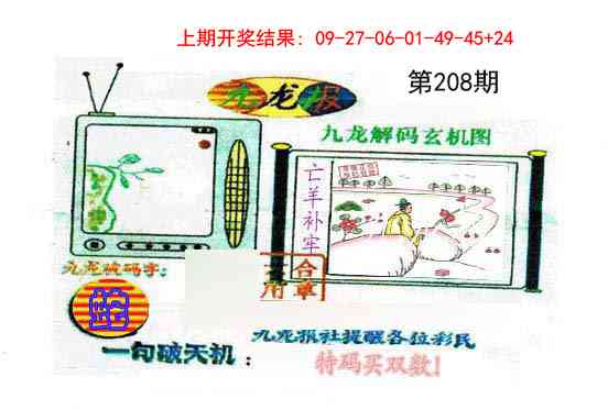 208期九龙报[图]