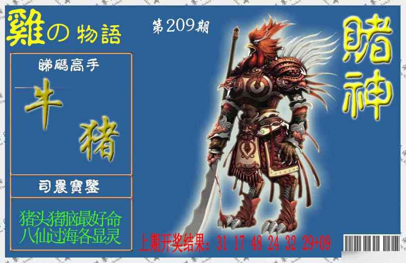 209期赌神鸡报[图]