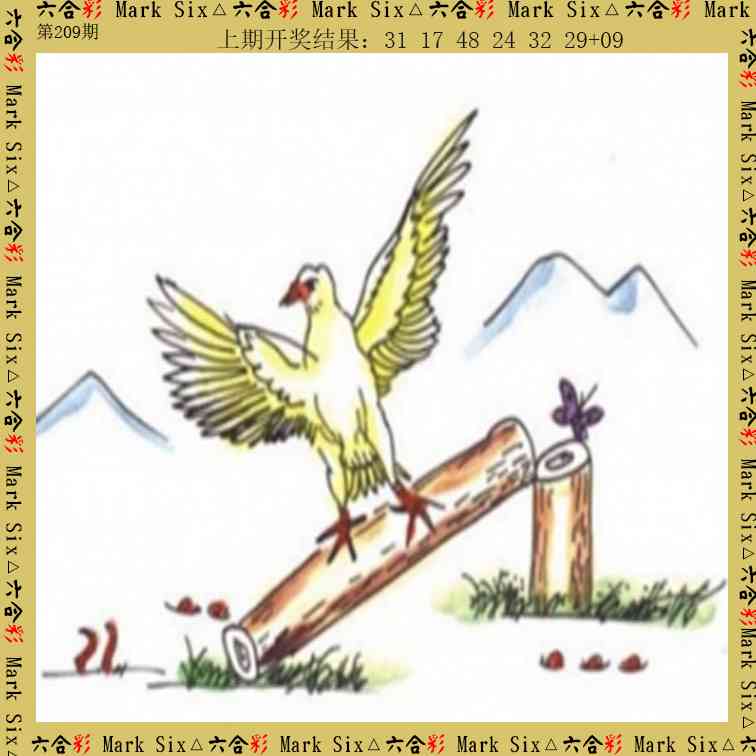 209期藏宝图[图]