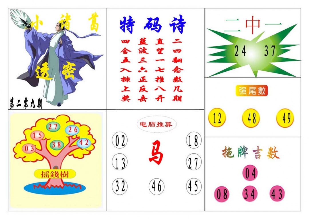 209期小诸葛[图]