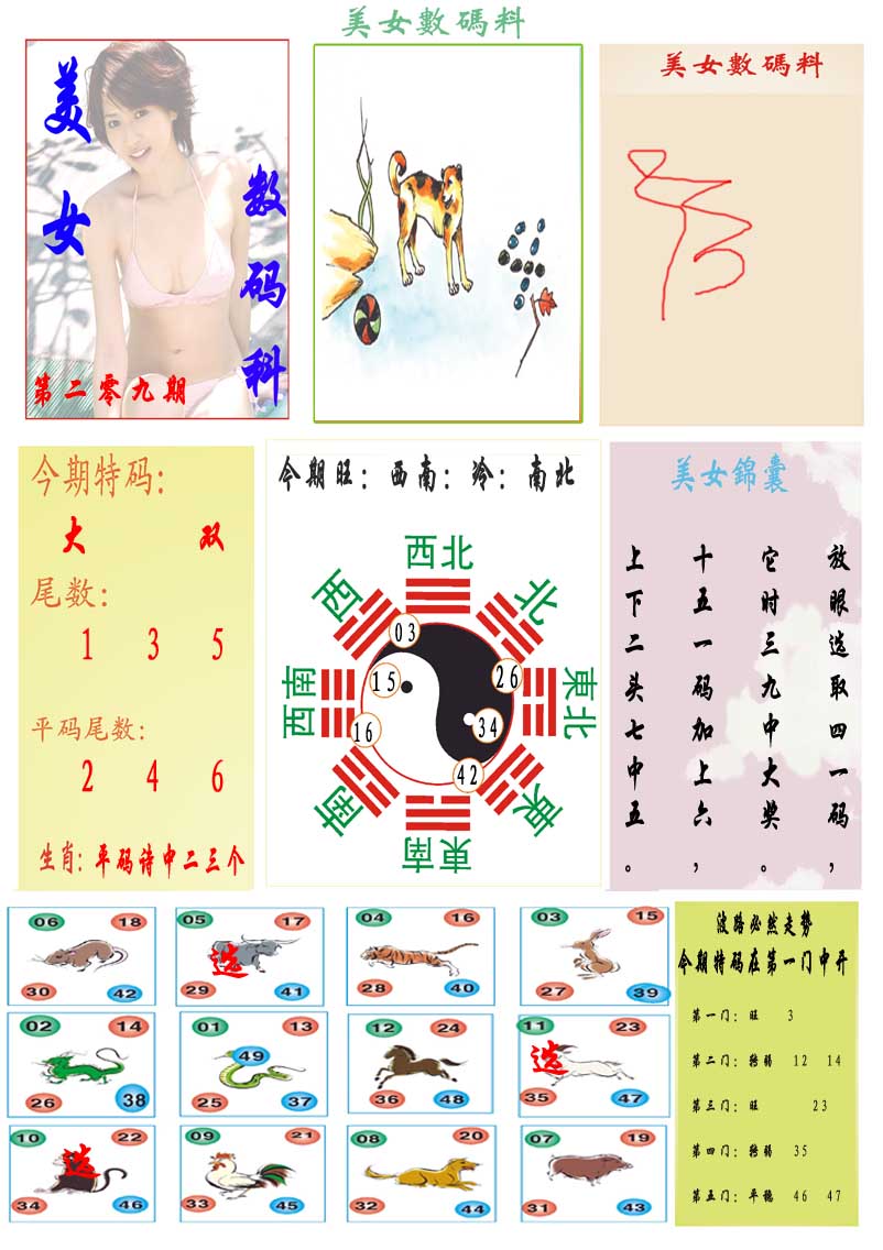 209期美女数码料[图]