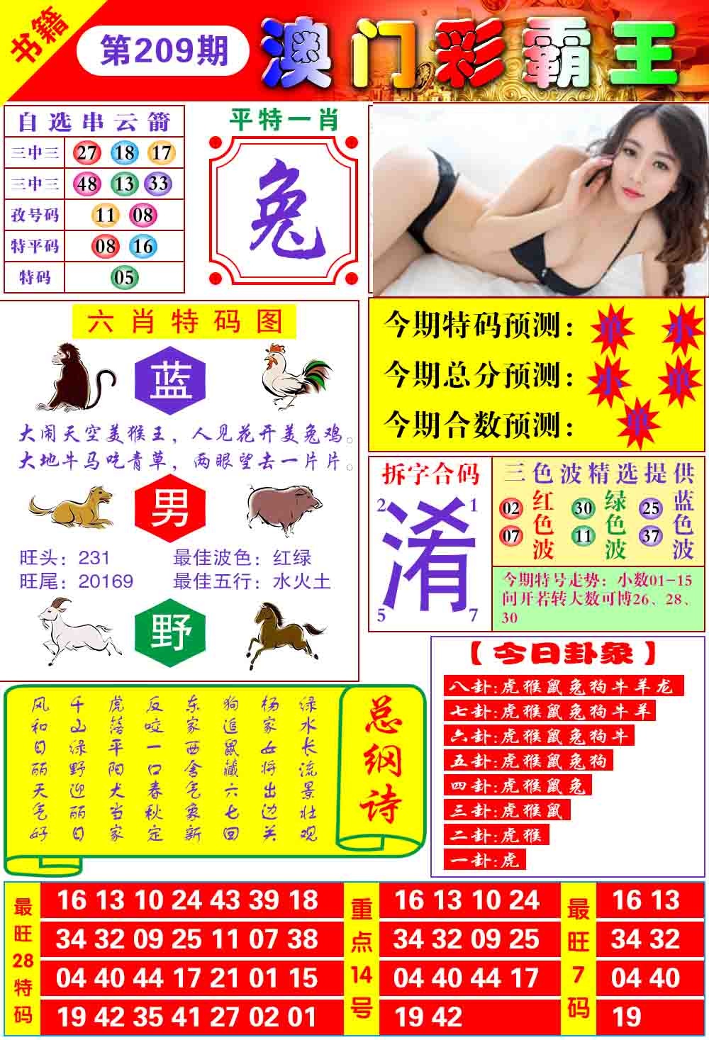 209期澳门彩霸王[图]